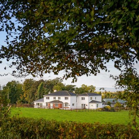 Ballindrum Farm B&B Athy Exterior photo